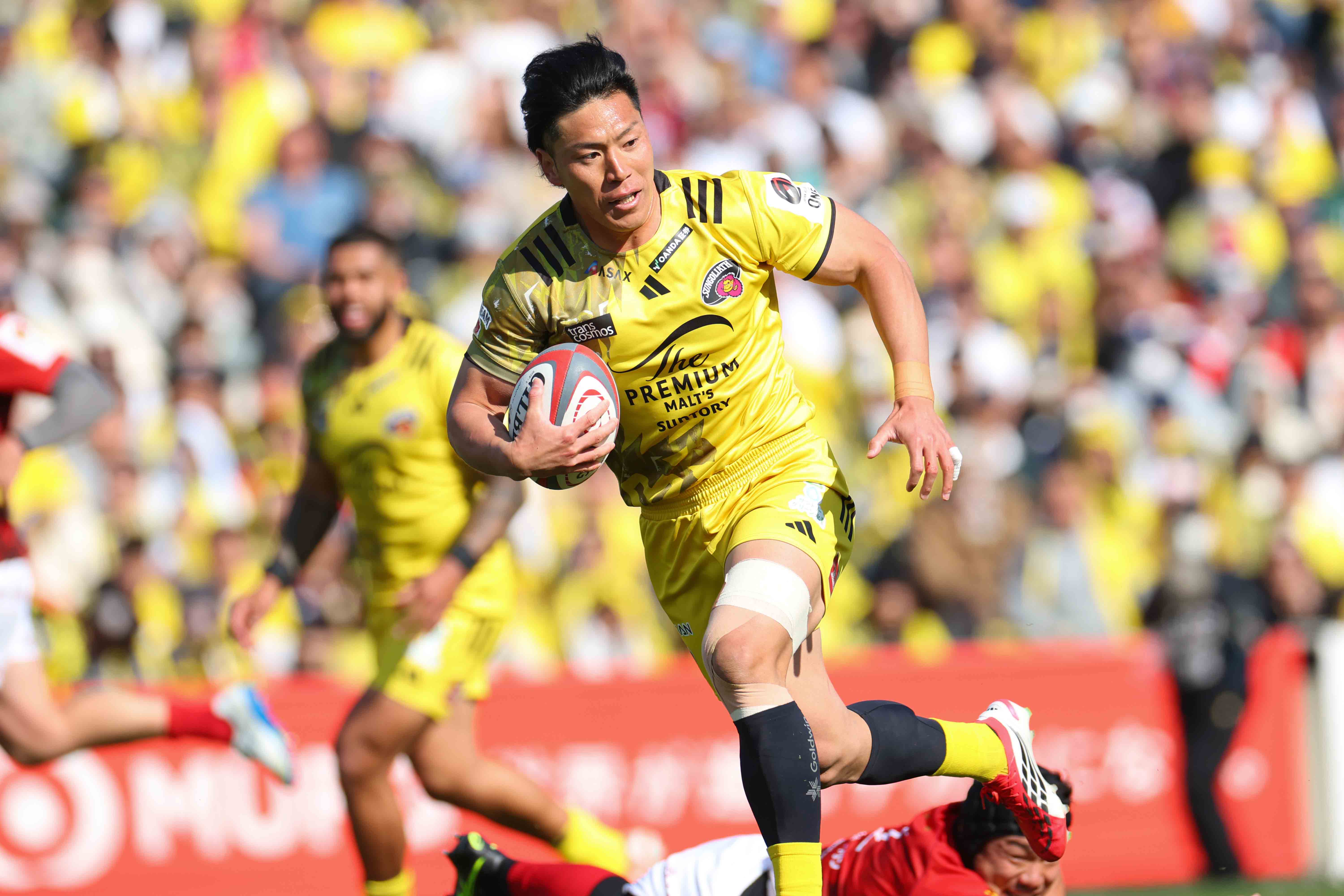 試合中ギャラリー画像1